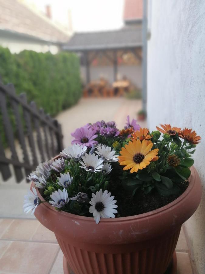 Susanna Vendeghaz Hotel Siofok Bagian luar foto